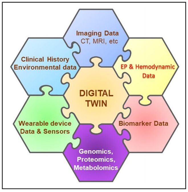 數(shù)字孿生技術(shù)解鎖心臟奧秘 Circulation重磅研究引領(lǐng)心律失常治療新紀(jì)元