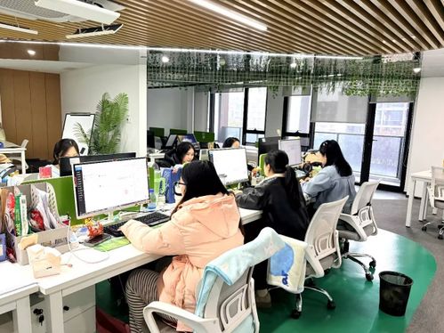 生鮮私域行業服務新范本 213集市“春節不打烊”背后的用戶思維與信息咨詢服務