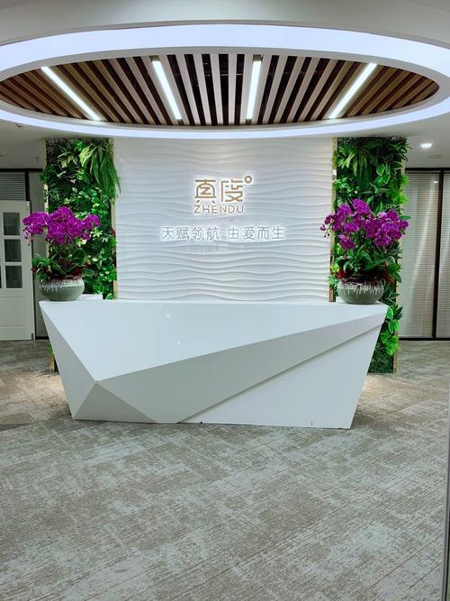 科技咨詢企業的服務領域探討 從傳統咨詢到數智化升級
